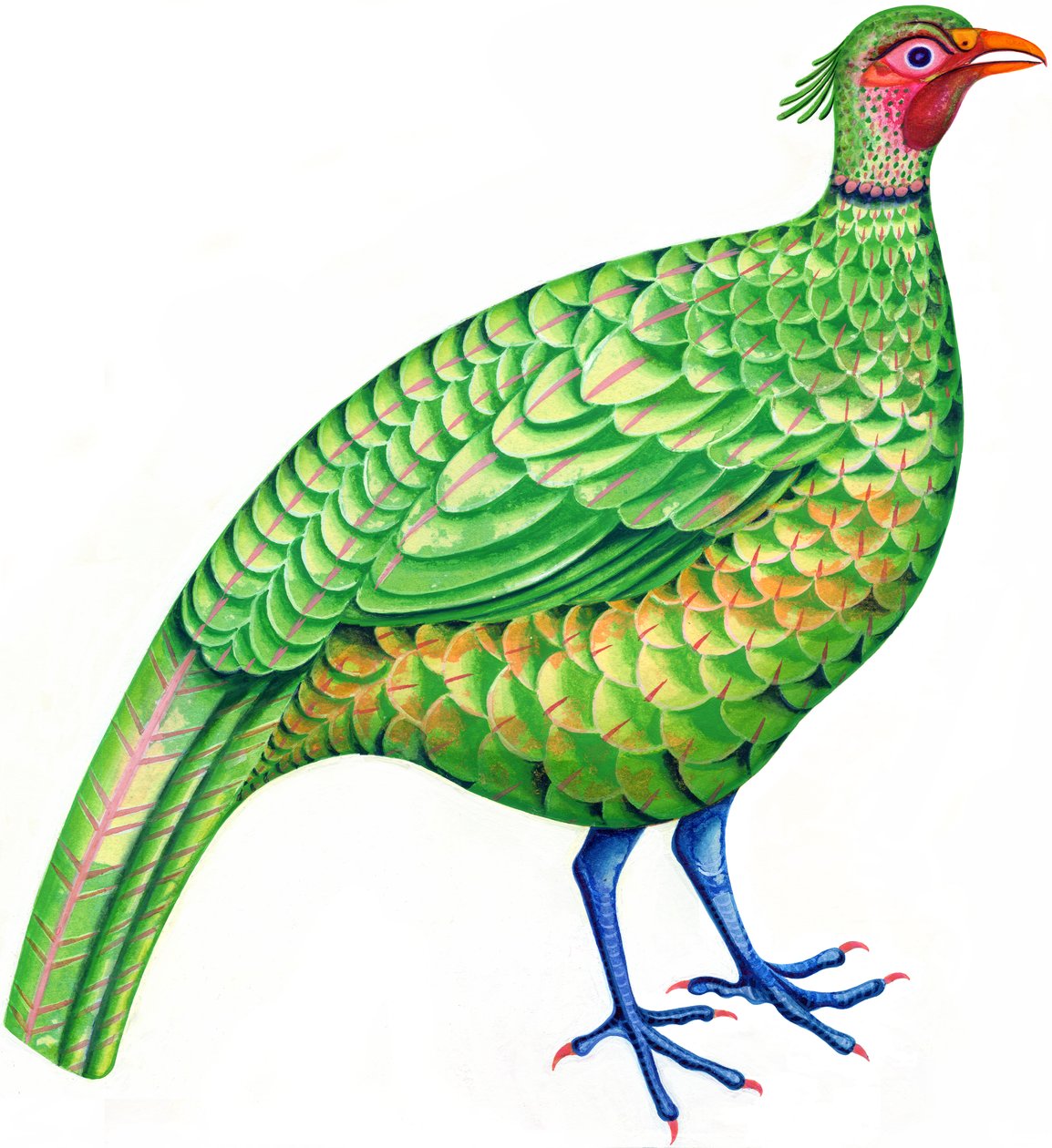 Pheasant, 1996 (tinta e guache) de Jane Tattersfield
