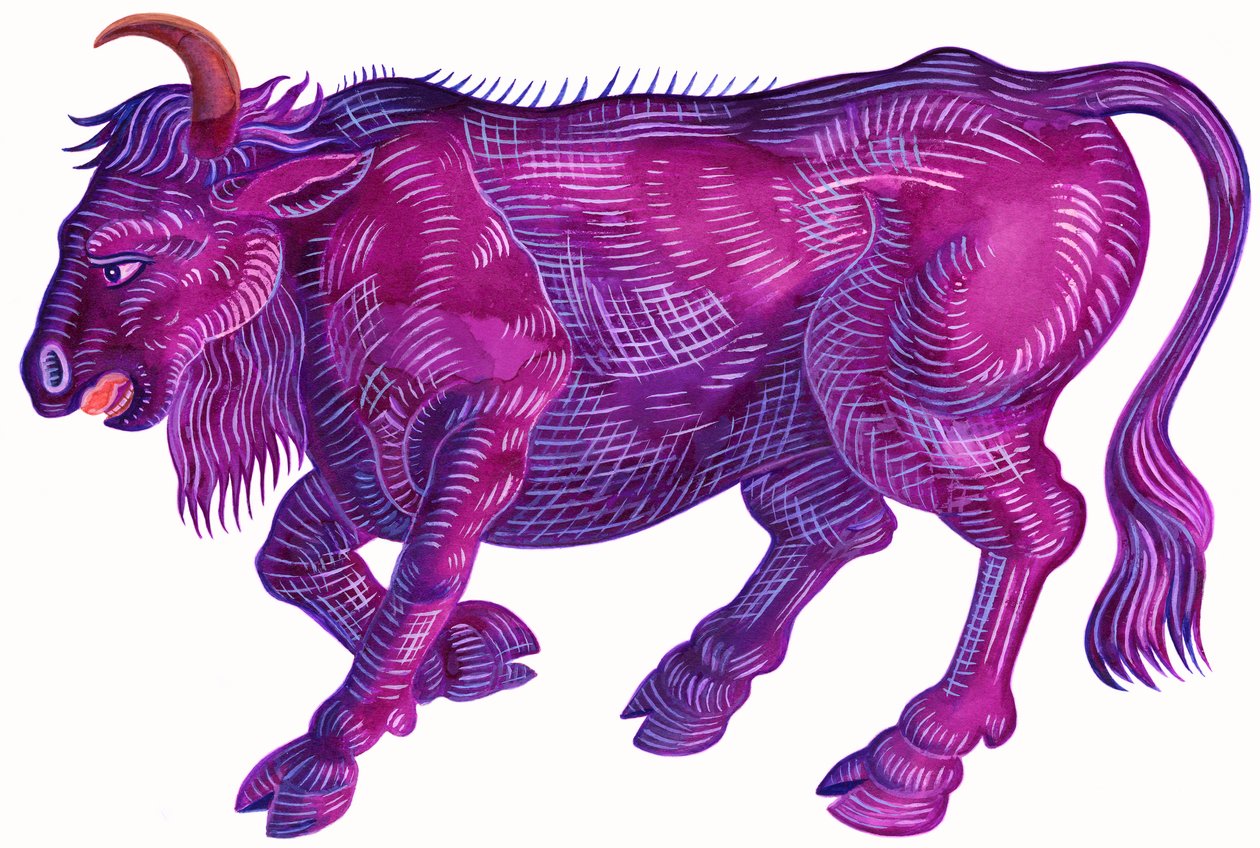 Raging Bull Taurus, 1996, (tinta e guache) de Jane Tattersfield