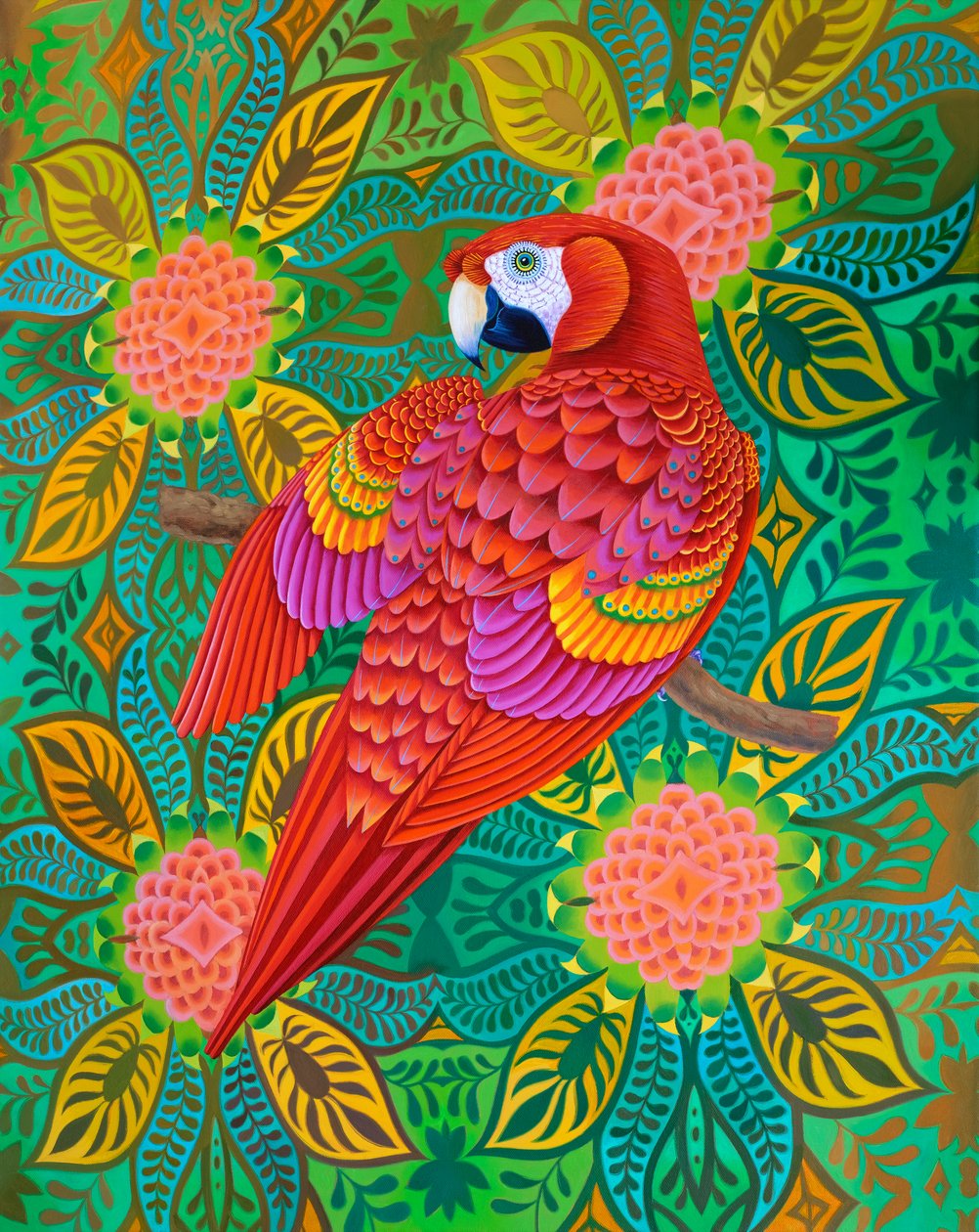 papagaio vermelho, 2021 de Jane Tattersfield