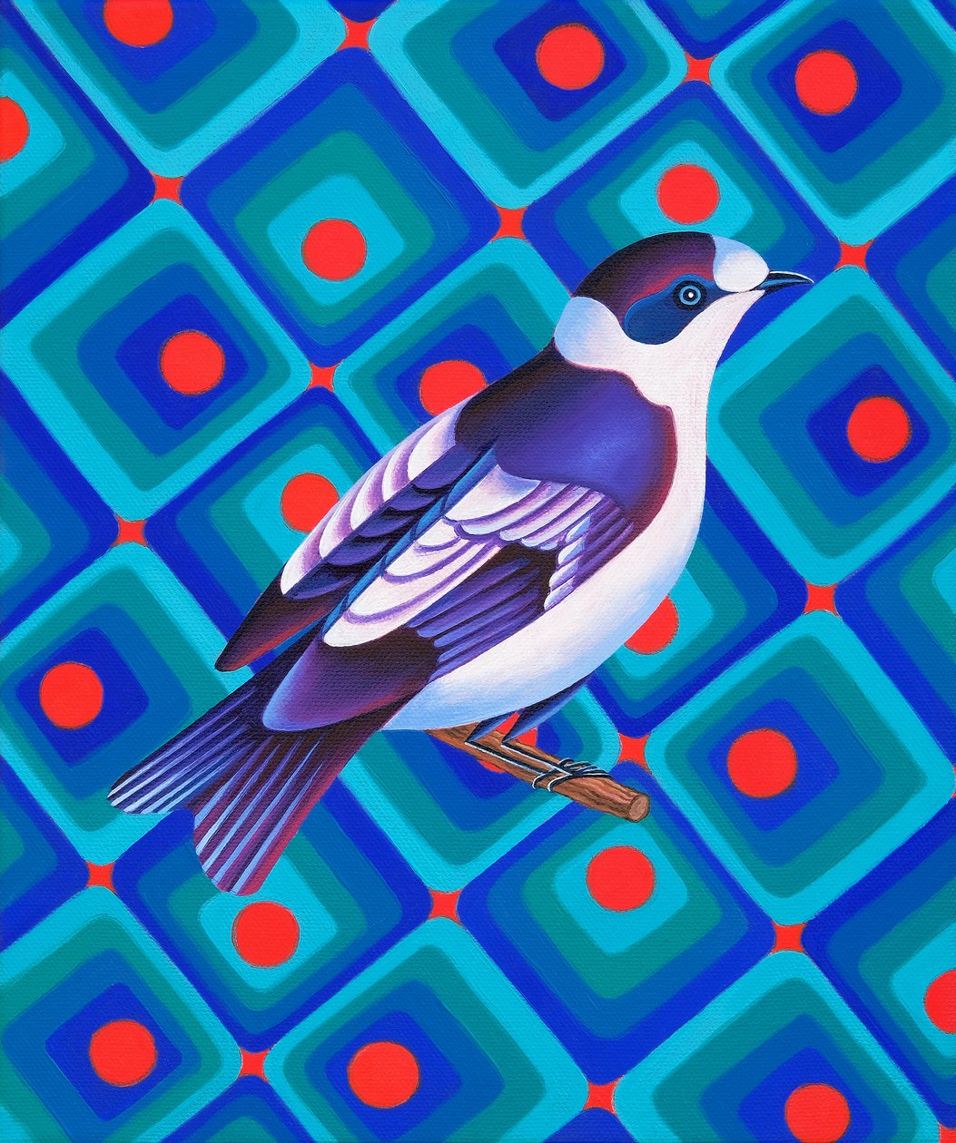 Mosca semicollared, 2023 (óleo sobre tela) de Jane Tattersfield