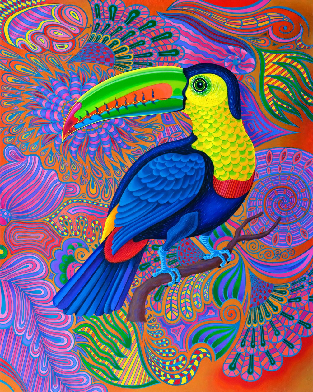 Toucan, 2021 de Jane Tattersfield
