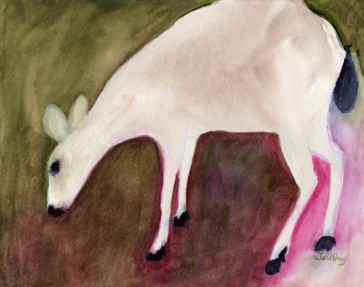 Veado de Anacortes, c.2018 (aguarela sobre papel) de Janel Bragg