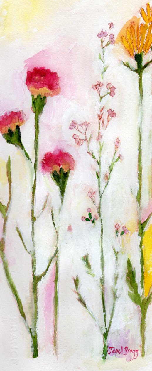 Flores de Sheeley