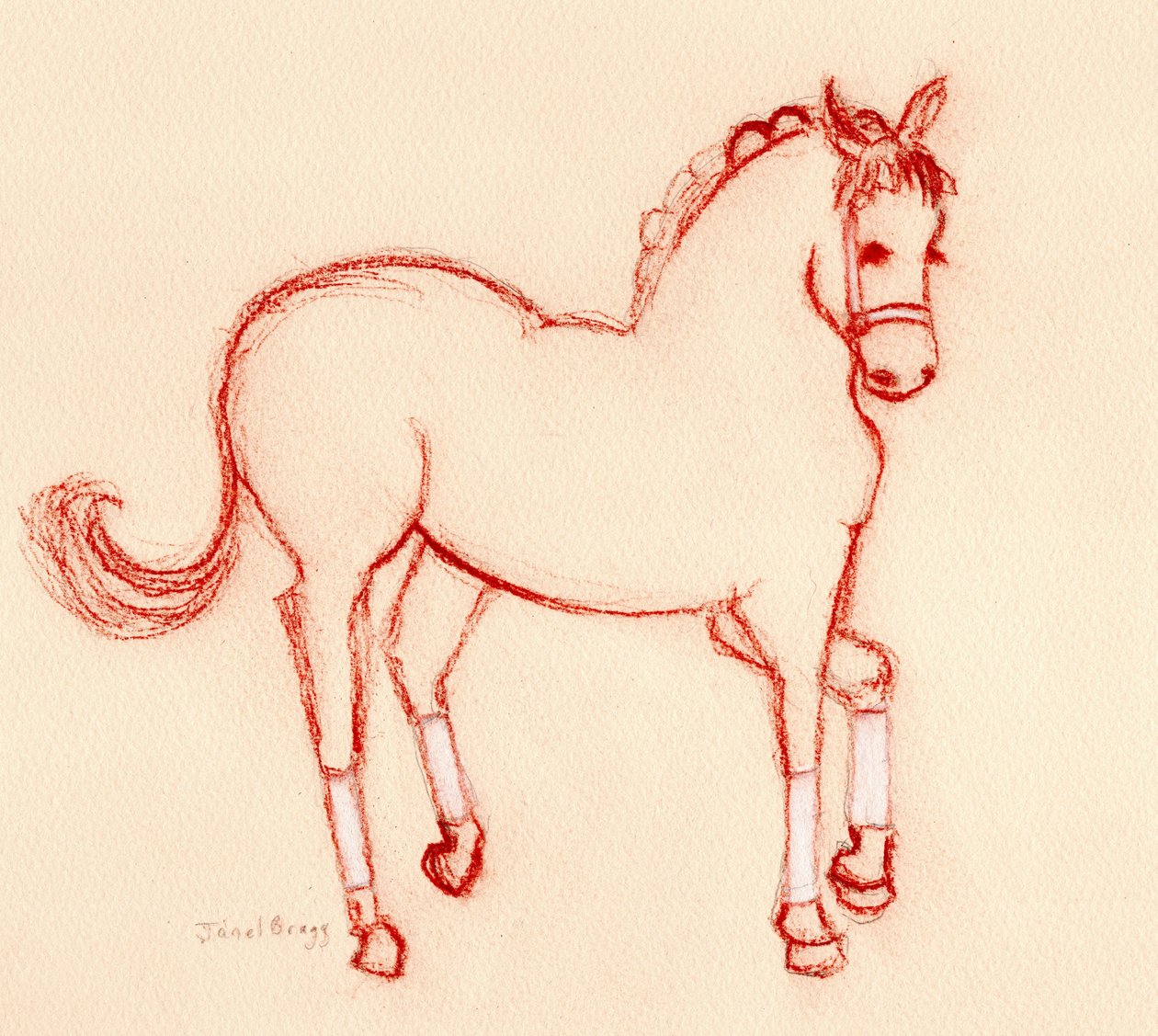 Dança de cavalos na parada, c. 2024 (lápis sobre papel) de Janel Bragg