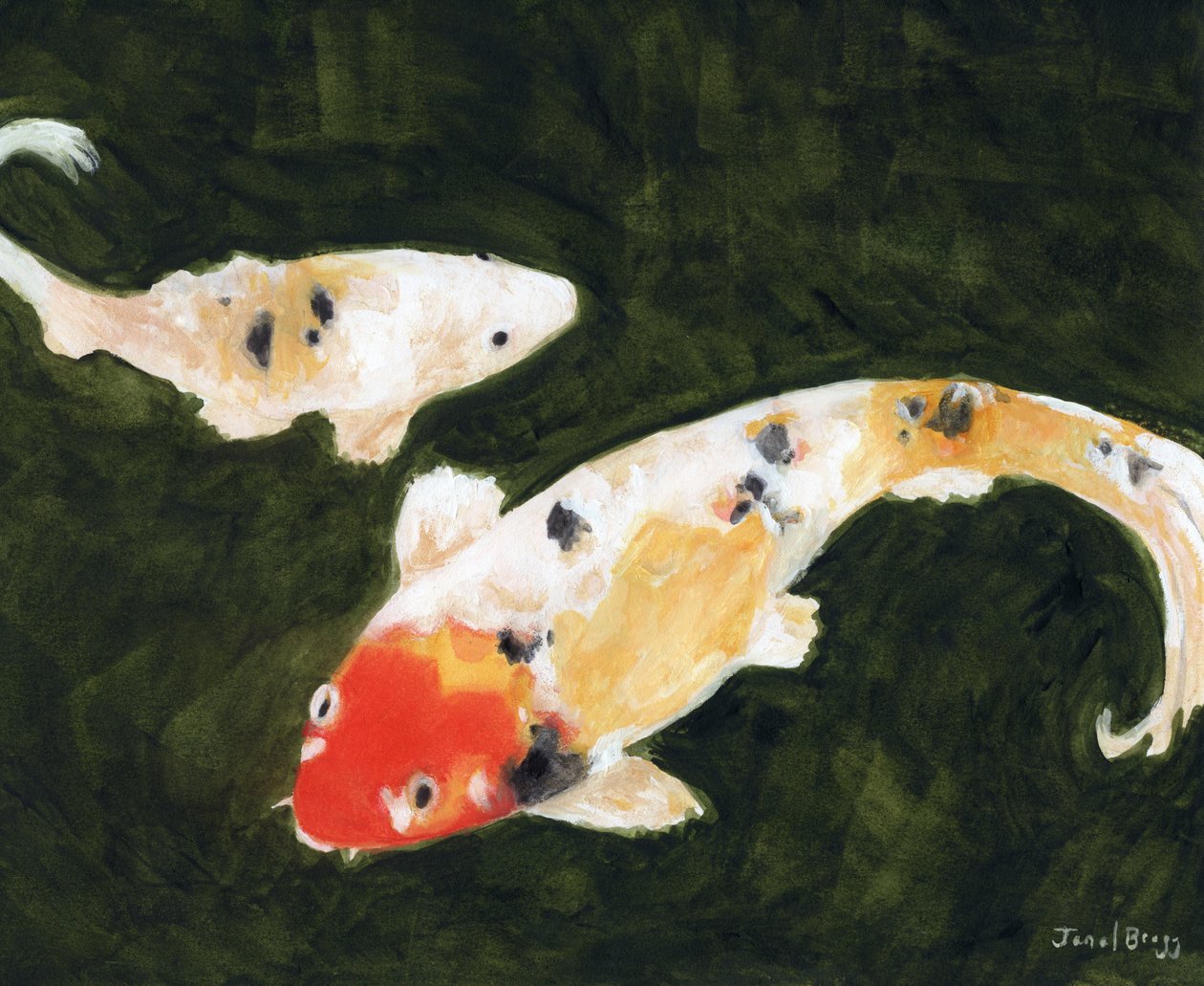 Peixes Koi no Conservatório de Flores em São Francisco, c. 2024 (aguarela e caseína sobre papel) de Janel Bragg