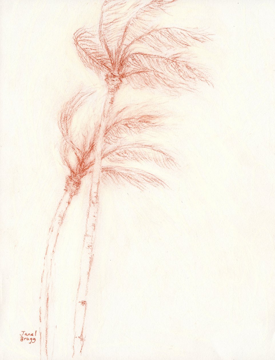 Once Upon a Tropical Vacation Palm Trees, c.2019 (lápis sobre papel) de Janel Bragg