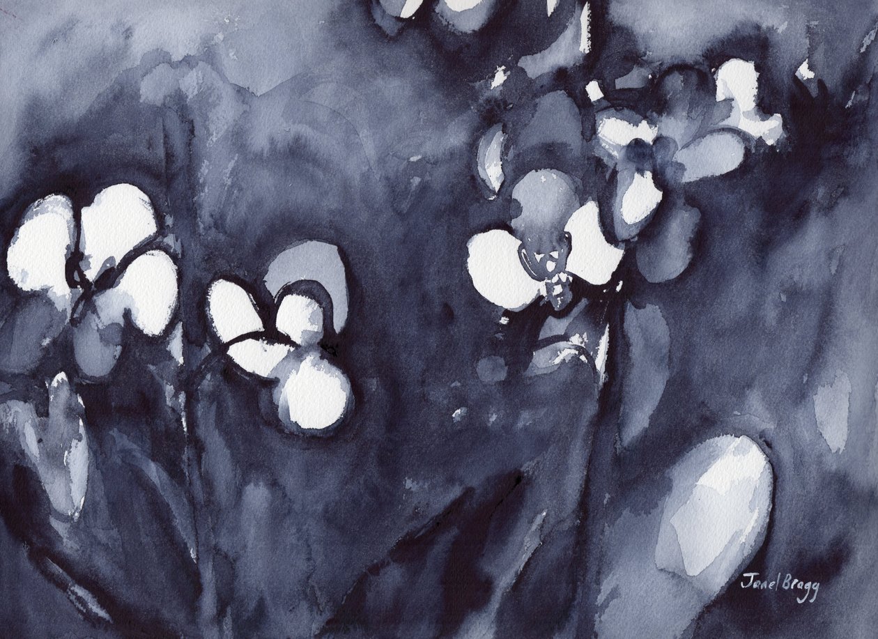 Orquídea em índigo, c.2017 (aguarela sobre papel) de Janel Bragg