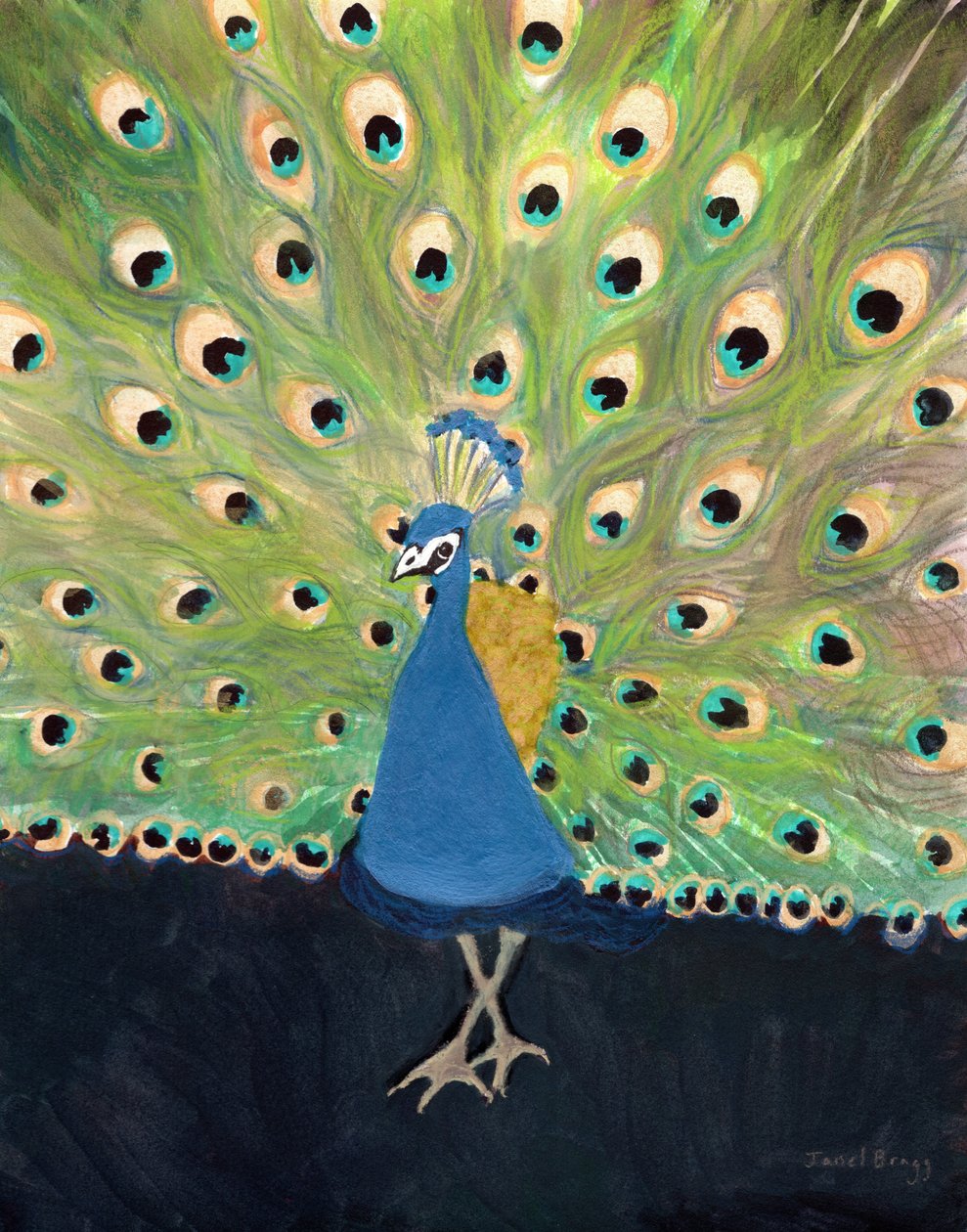 Pavão no jardim zoológico de Woodland Park, c. 2024 (técnica mista sobre papel) de Janel Bragg