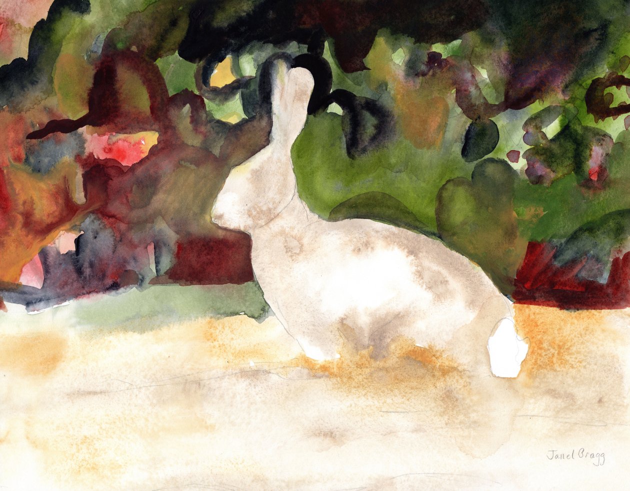Coelho que vimos no nosso passeio, c.2016 (aguarela e lápis sobre papel) de Janel Bragg