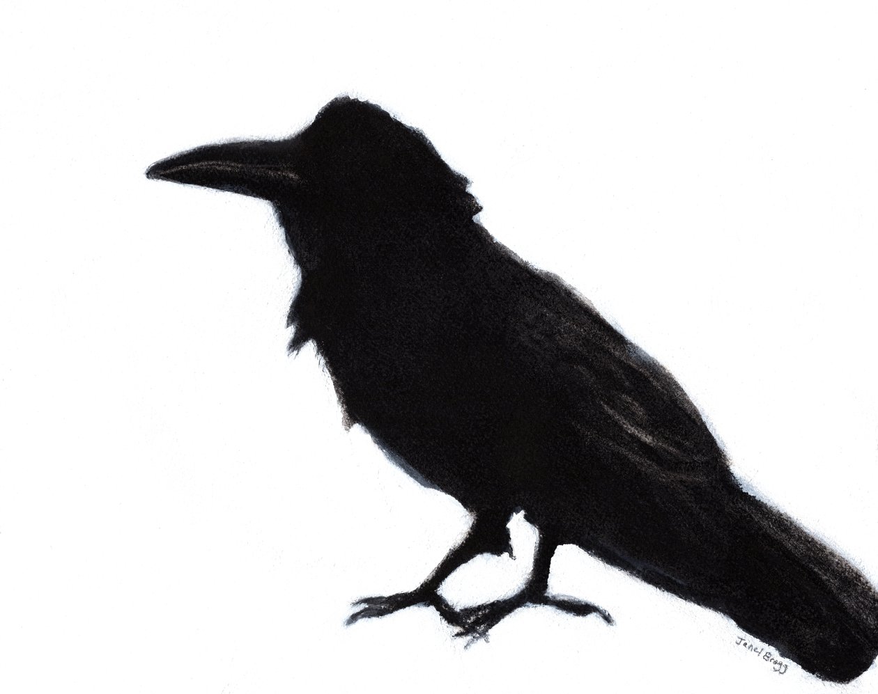 Raven at Baker Beach, c. 2023 (técnica mista sobre papel) de Janel Bragg
