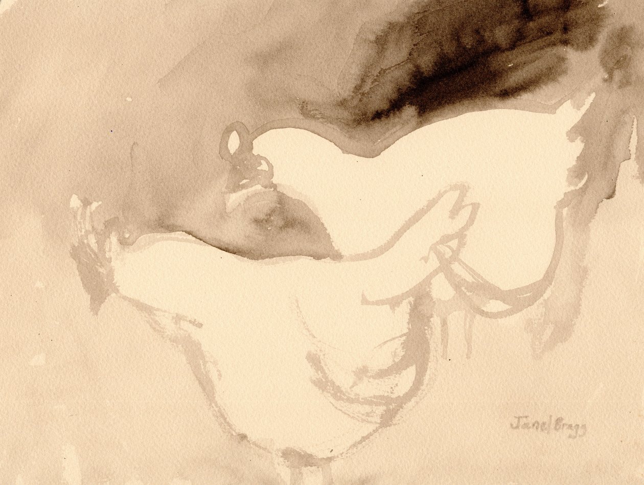 Schuh Farm Chickens, c.2019 (tinta sobre papel) de Janel Bragg