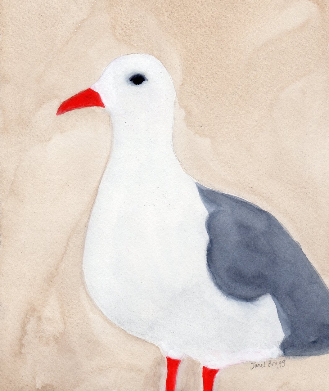 Gaivota de Anacortes II, c.2018 (aguarela e lápis sobre papel) de Janel Bragg