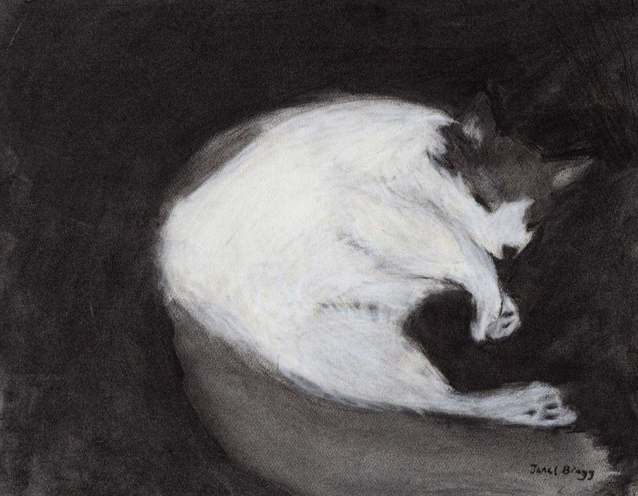 Thomas Taking a Nap, c. 2018 (carvão e pastel sobre papel) de Janel Bragg