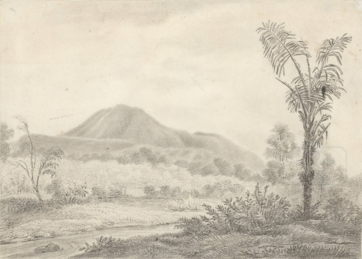 Paisagem javanesa com montanha e palmeiras de Jannes Theodorus Bik