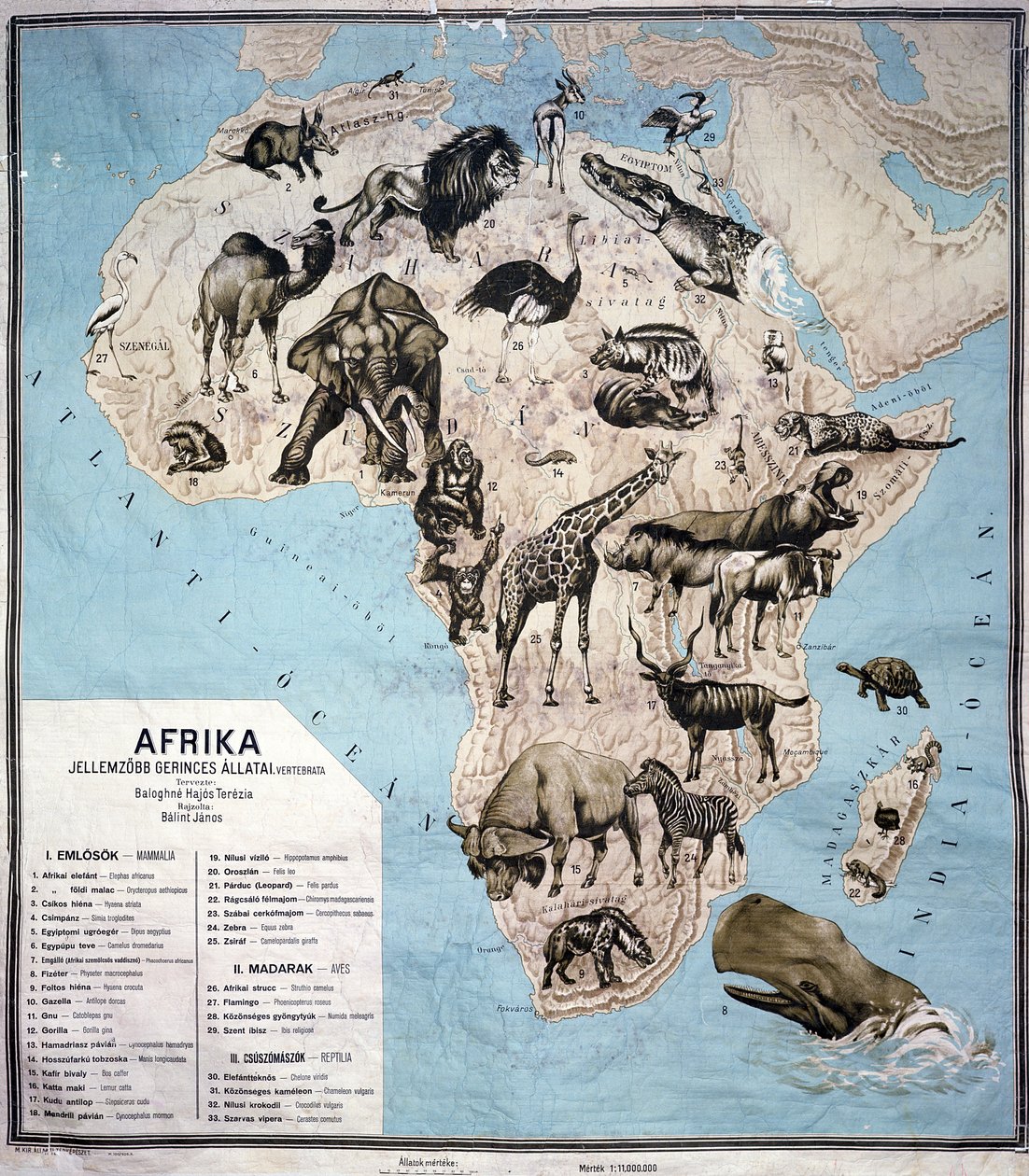 Mapa de animais na África (gravura de cor) Sf de Janos Balint