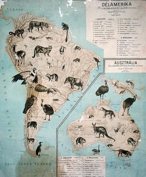 Mapa de animais na América do Sul e Austrália de Janos Balint