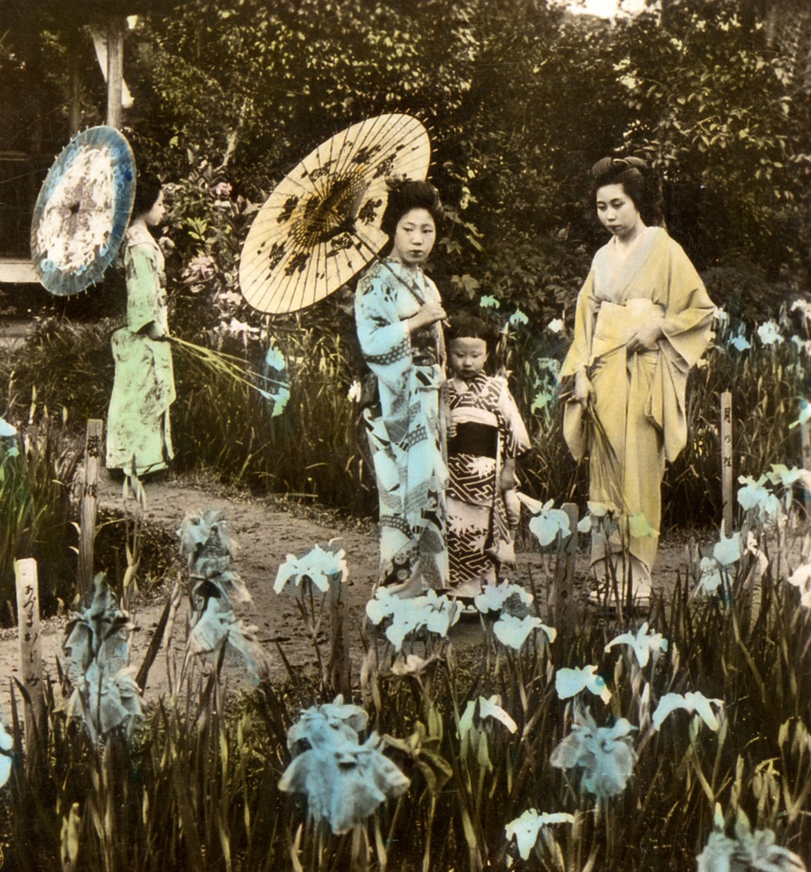 Um passeio no jardim Iris, c.1900 (albumen photo) de Japanese Photographer