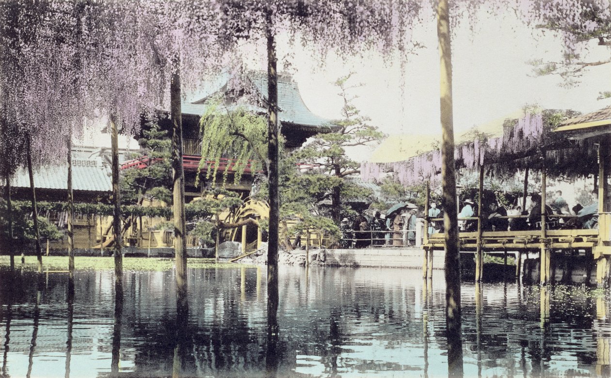 As glicínias desabrocham sobre a lagoa nos jardins do Templo de Kameido, em Tóquio, no final do século XIX (foto colorida à mão) (ver também 172943) de Japanese Photographer