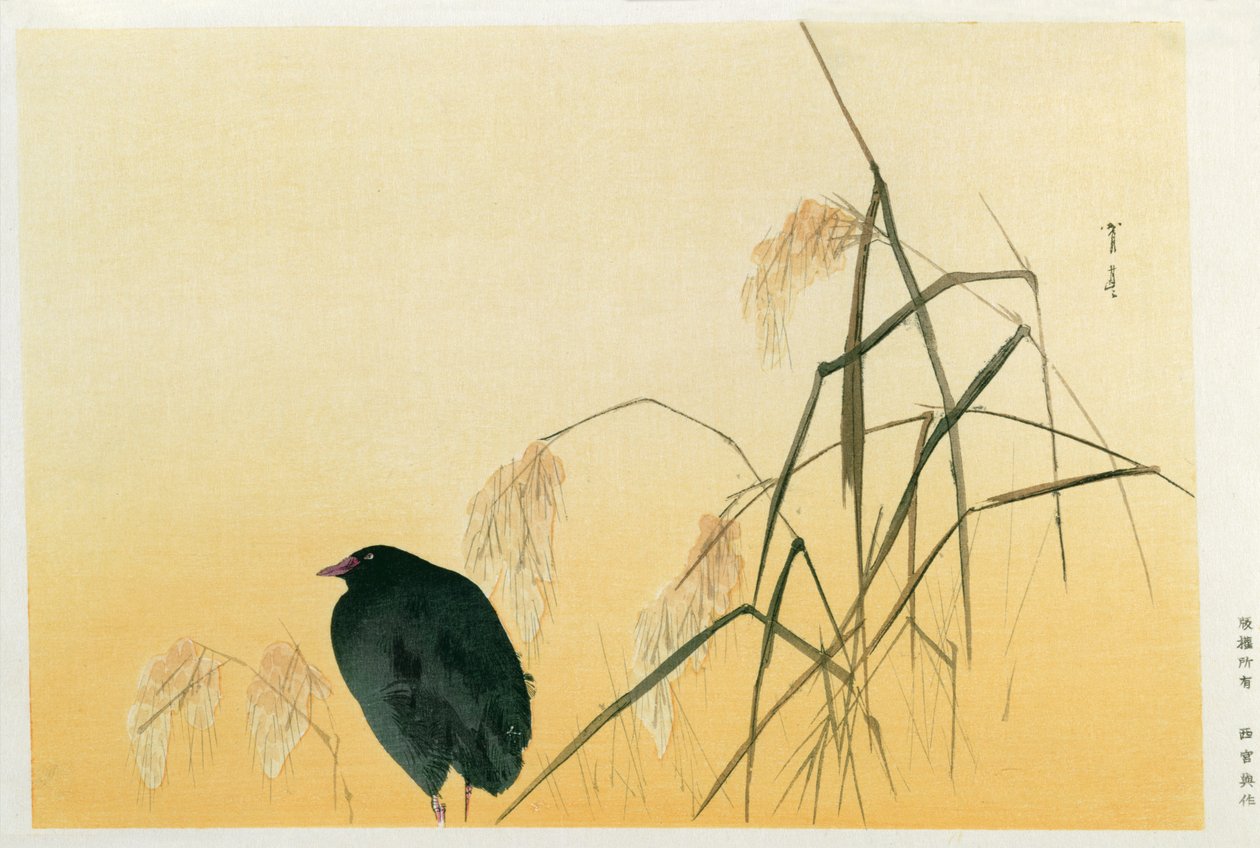 Melro, Período Edo (rolo de seda) de Japanese School