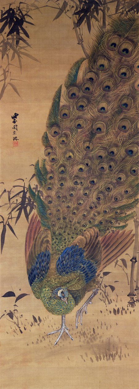 Pavão e bambu (tinta e cores na seda) de Japanese School