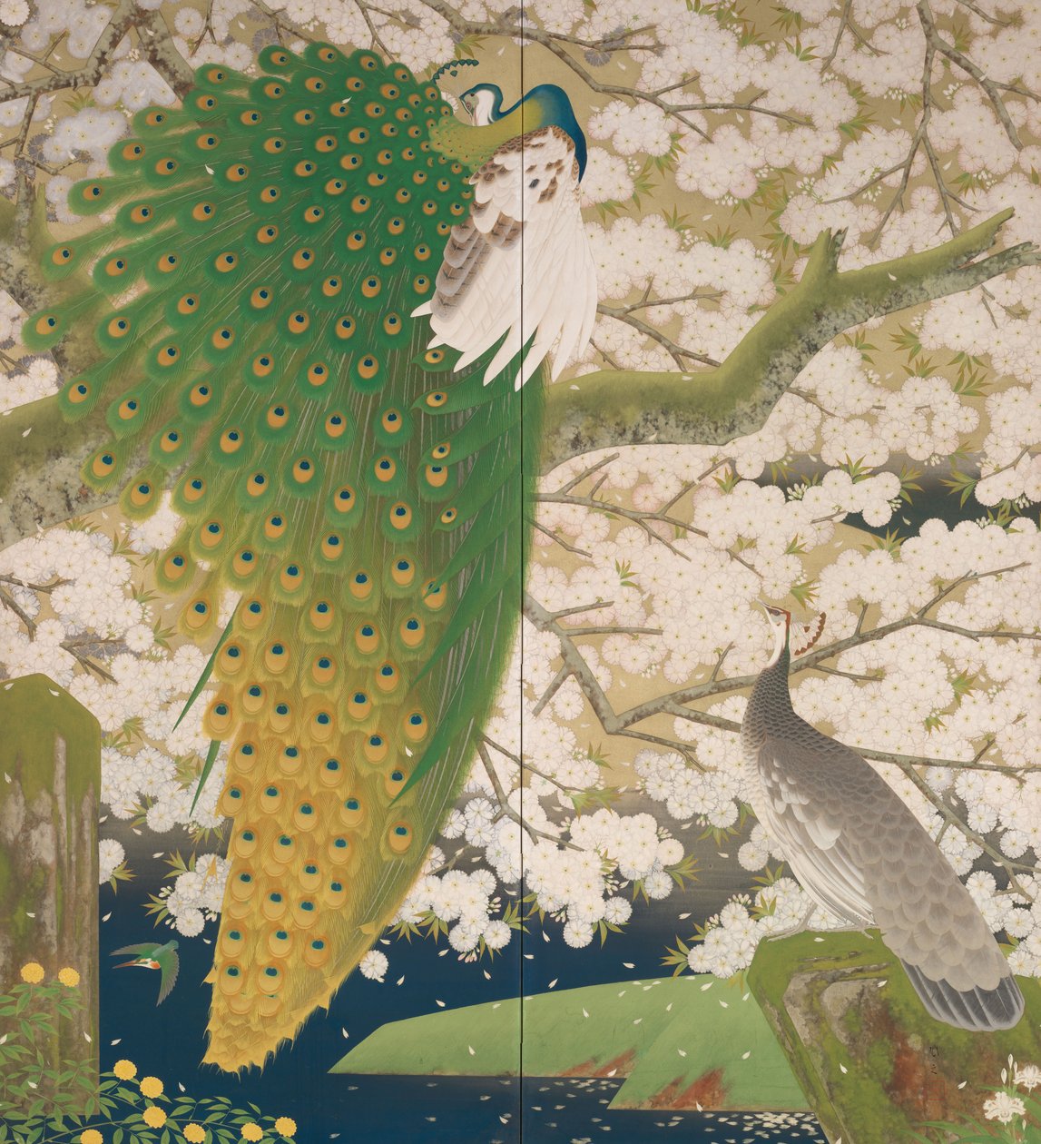 Pavões e Cerejeira, c.1925 (metal e cor sobre papel) de Japanese School