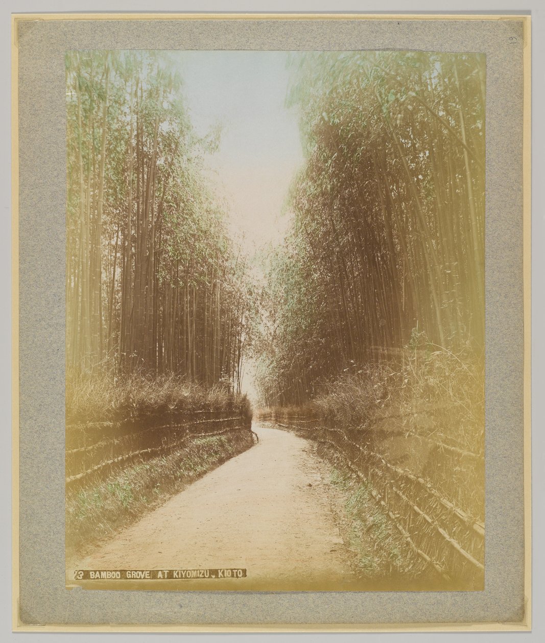 Bamboo Grove em Kiyomizu, Kyoto, Japão (foto a p/b colorida à mão) de Japanese Photographer