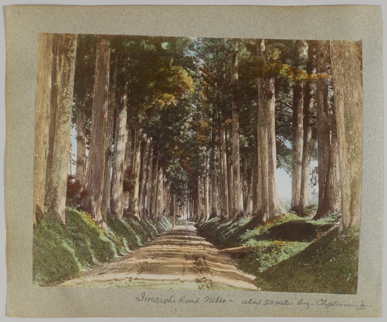 Imaichi Road, Nikko, Japão (foto colorida à mão em preto e branco) de Japanese Photographer
