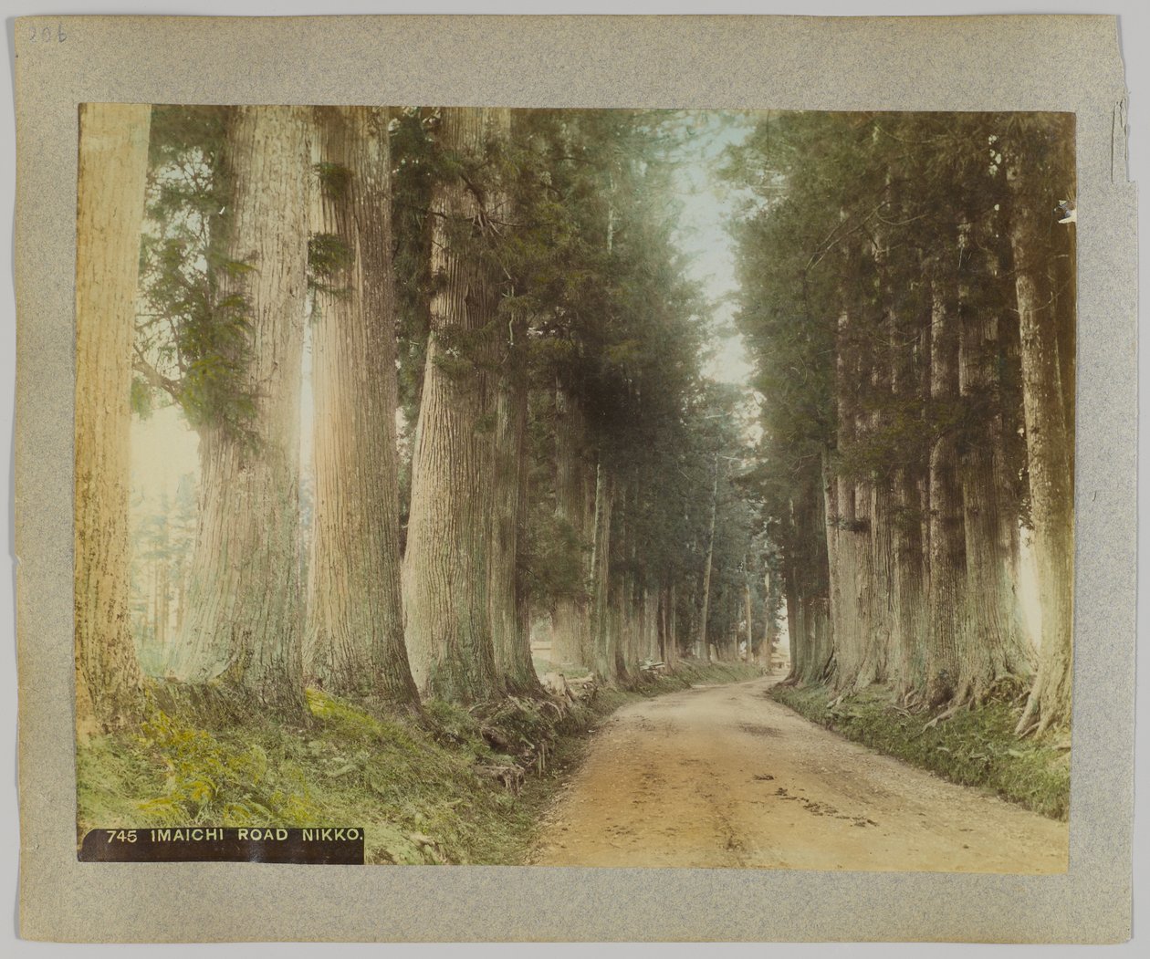 Imaichi Road, Nikko, Japão (foto colorida à mão em preto e branco) de Japanese Photographer