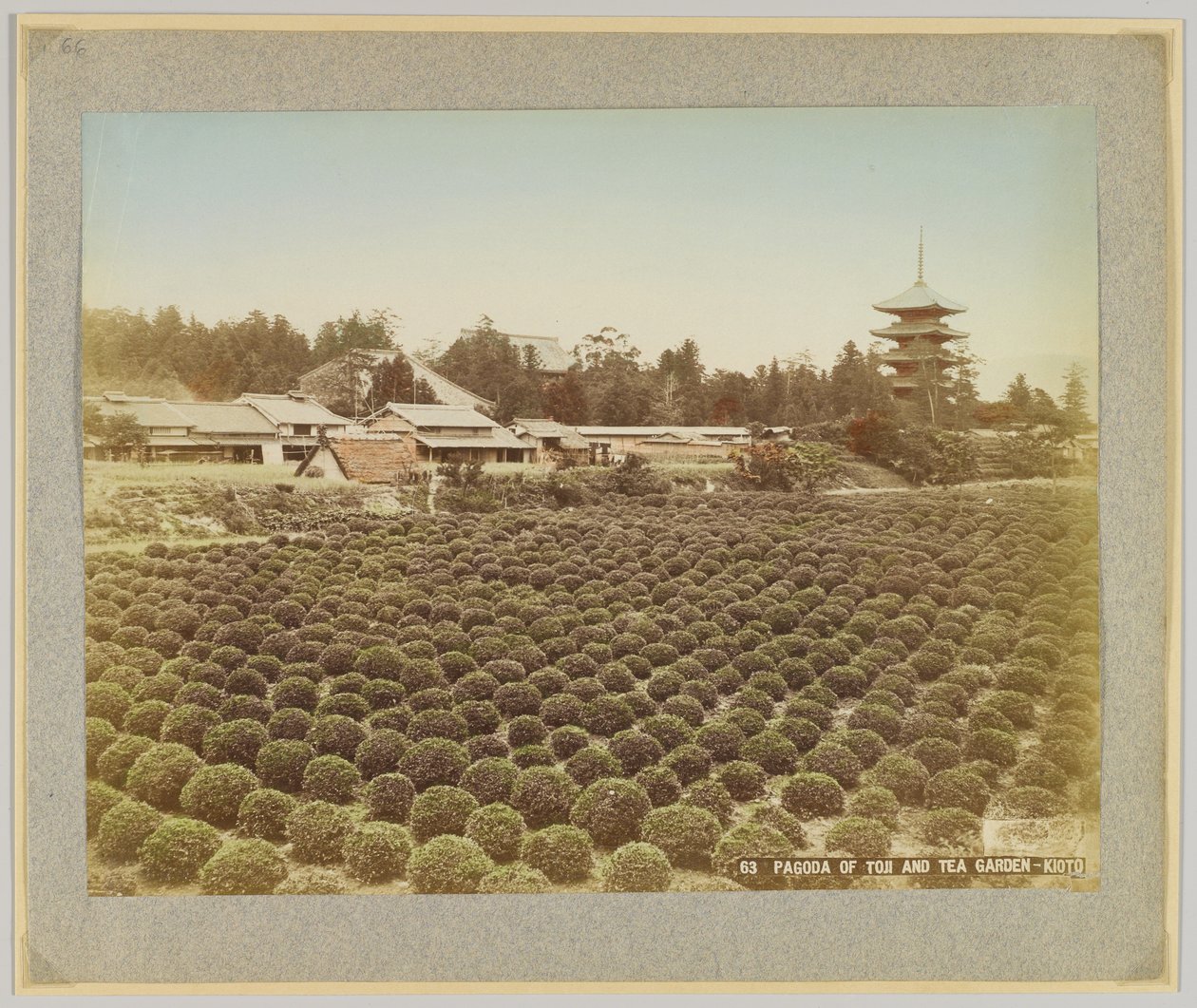Pagoda de Toji e Tea Garden, Kyoto, Japão (foto a p/b colorida à mão) de Japanese Photographer