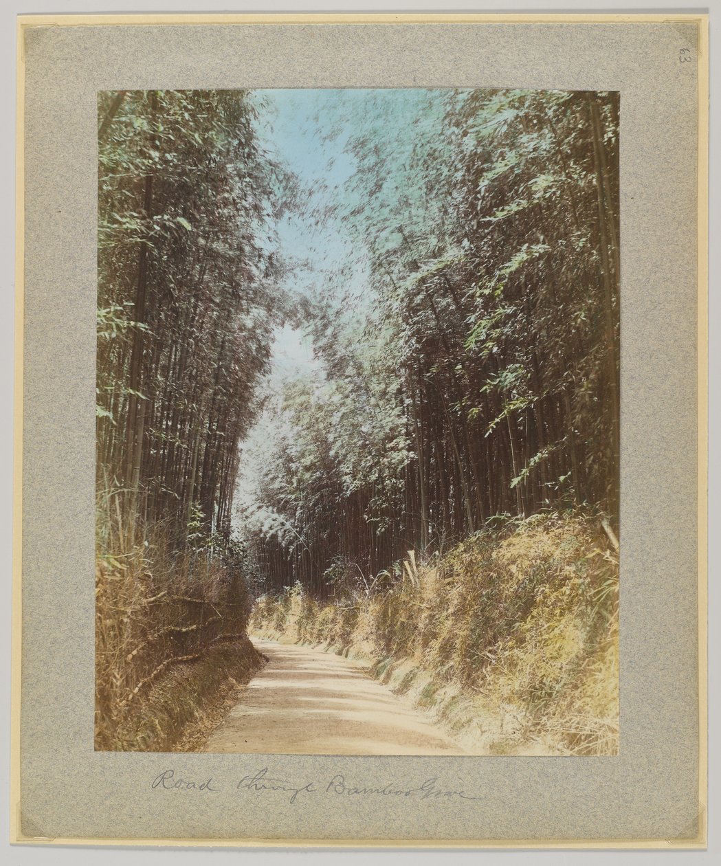 Estrada através de um bambu, Japão (foto colorida à mão a preto e branco) de Japanese Photographer