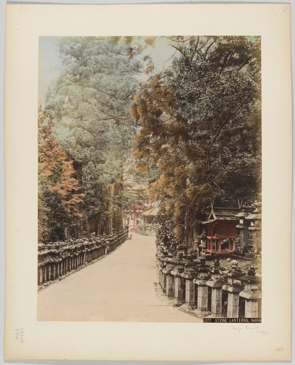 Stone Lanternas, Nara, Japão, c.1890 (foto a p/b colorida à mão) de Japanese Photographer