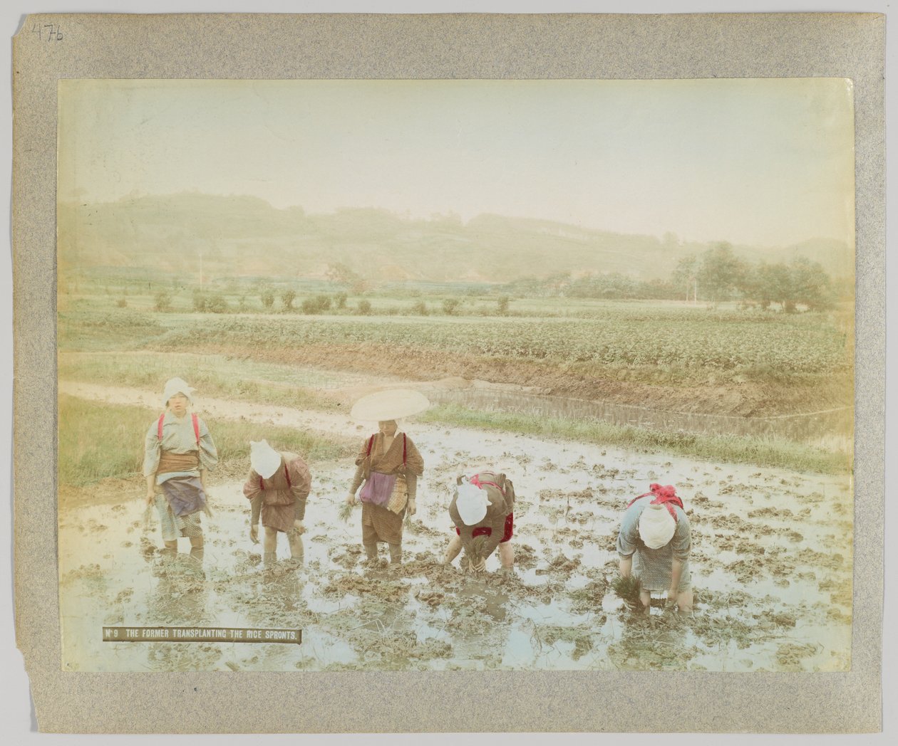 Transplante de brotos de arroz, Japão (foto a p/b colorida à mão) de Japanese Photographer