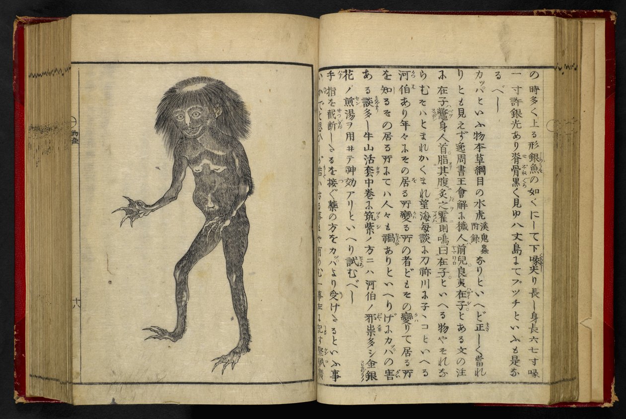 16084.d.15, f.24 A Neneko Kappa, de 