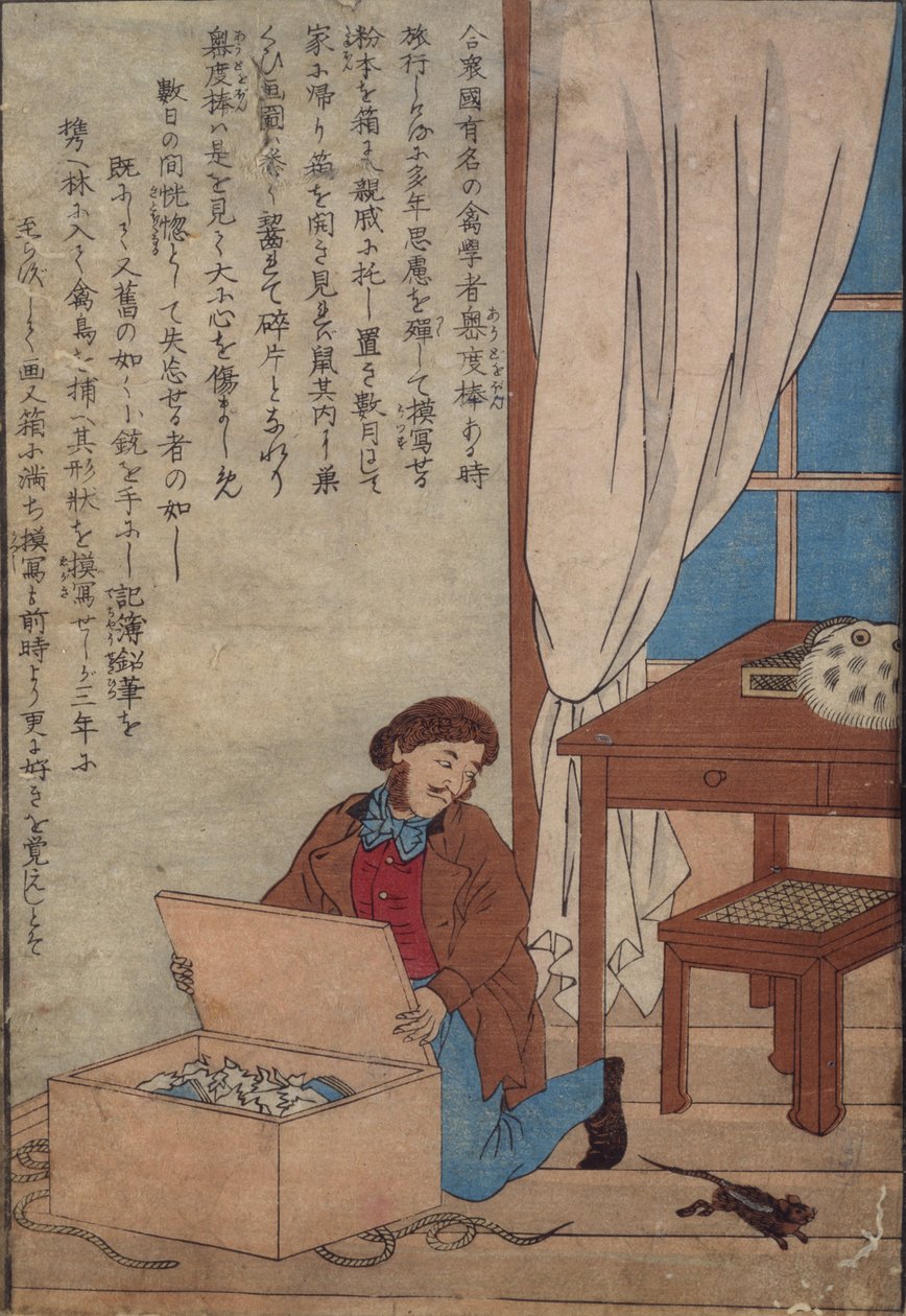 Audubon abrindo sua caixa de aquarelas destruídas por ratos noruegueses, c.1872-77 de Japanese School