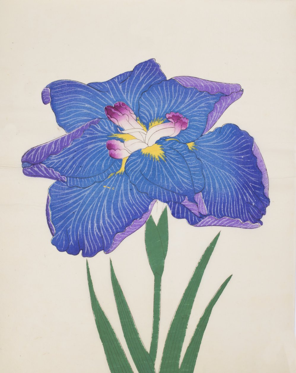 Azumabotan, nº 89, 1890 (impressão em xilogravura a cores) de Japanese School
