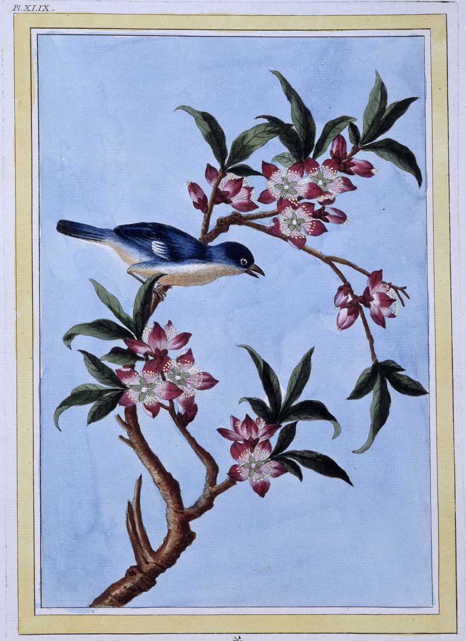 Bird - Impressão japonesa de Japanese School
