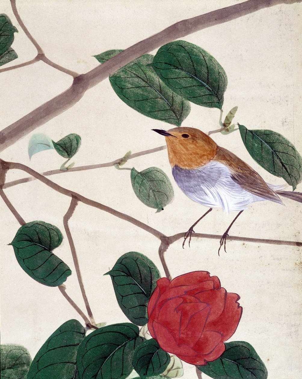 Pássaro e flores. Desenho japonês de Riou Chim, final do século XIX. de Japanese School