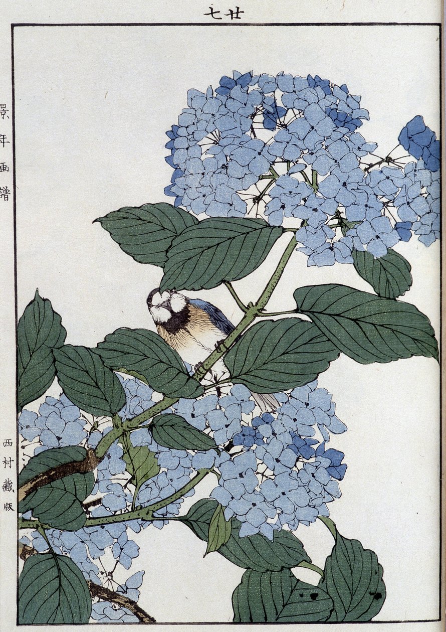 Ave em hortênsias - impressão japonesa de Japanese School