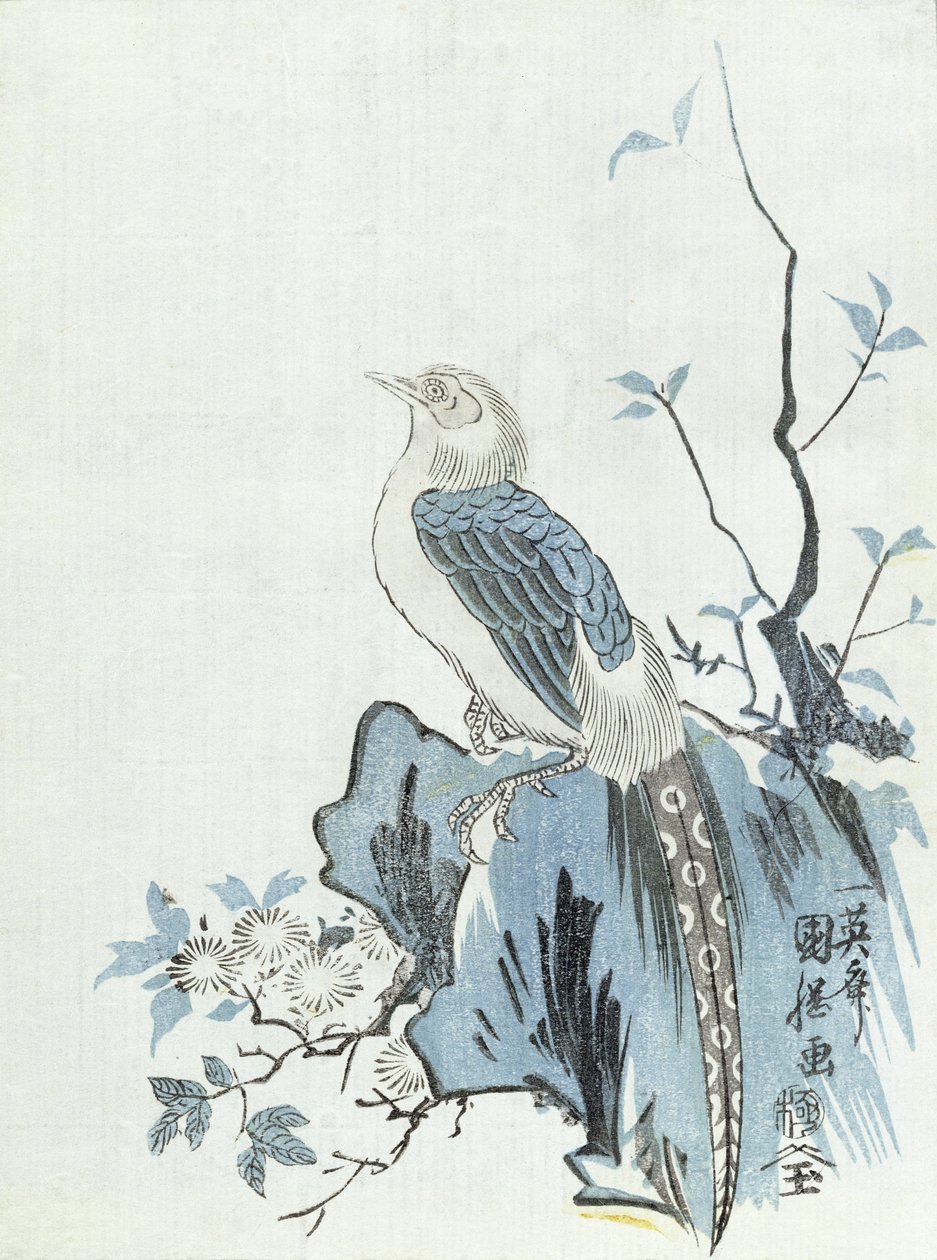 Bird on a Rock (impressão em bloco de madeira) de Japanese School