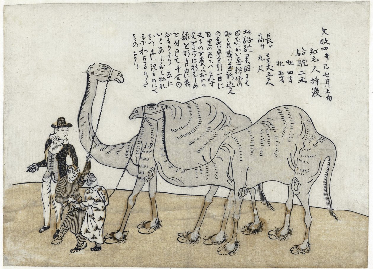 Camelo com manipuladores, pub. 1821 (xilogravura colorida) de Japanese School