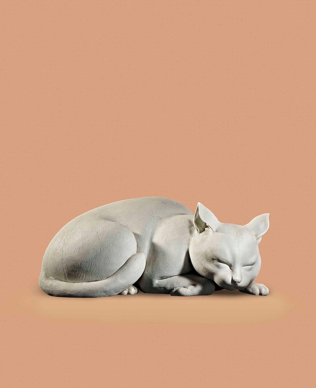Gato, período Edo-cedo Meiji tardio de Japanese School