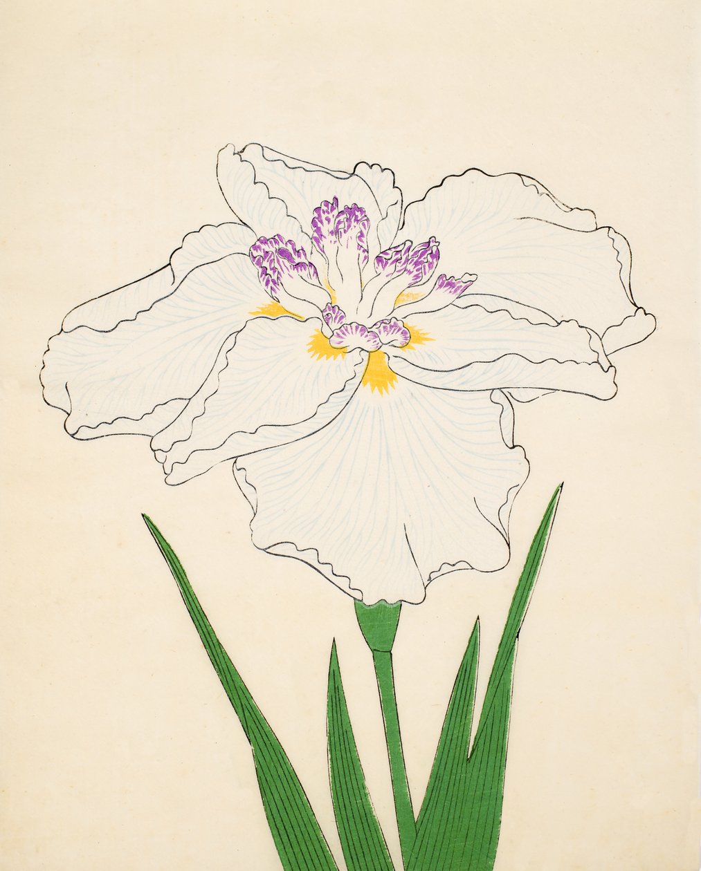 Cho-Hiyen, nº 91, 1890 (impressão em xilogravura a cores) de Japanese School