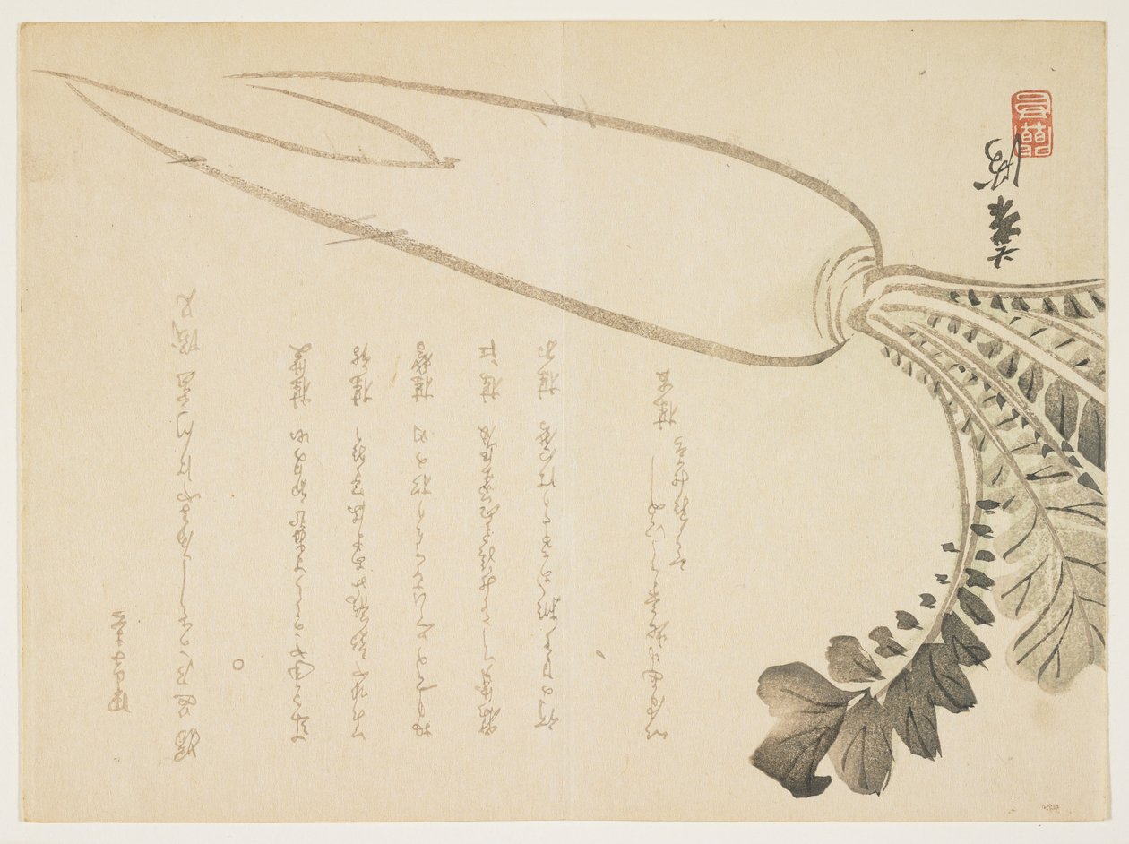 Rabanete Daikon, janeiro de 1864 (impressão em xilogravura a cores) de Japanese School