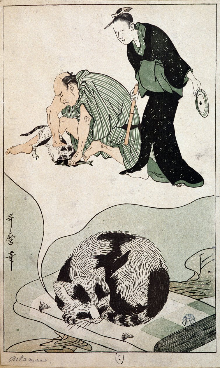 Gato Sonhador - Japão de Japanese School