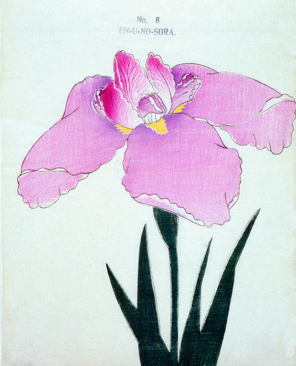 En-U-no.-Sora, nº 8, 1898 de Japanese School