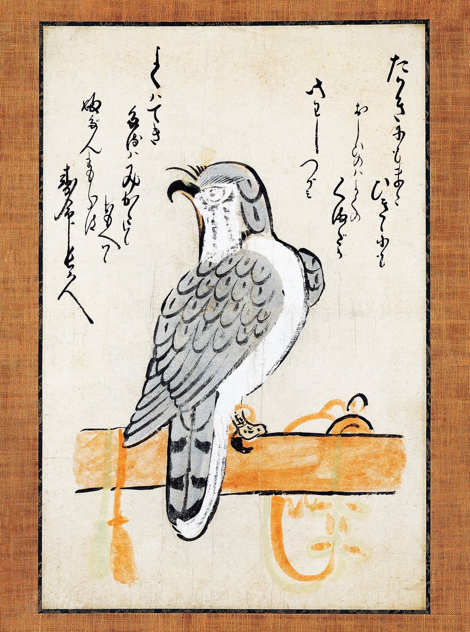 Falcão amarrado ao poleiro, ilustração em rolo vertical, finais do século XIX, tinta e cor sobre papel, 43x2,5 cm, civilização japonesa, período Meiji de Japanese School