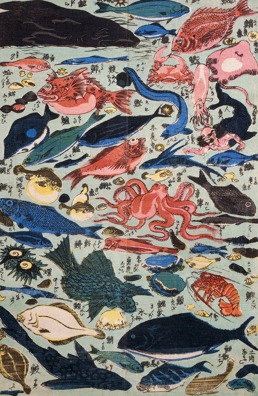 Peixes, moluscos e crustáceos frescos de Japanese School