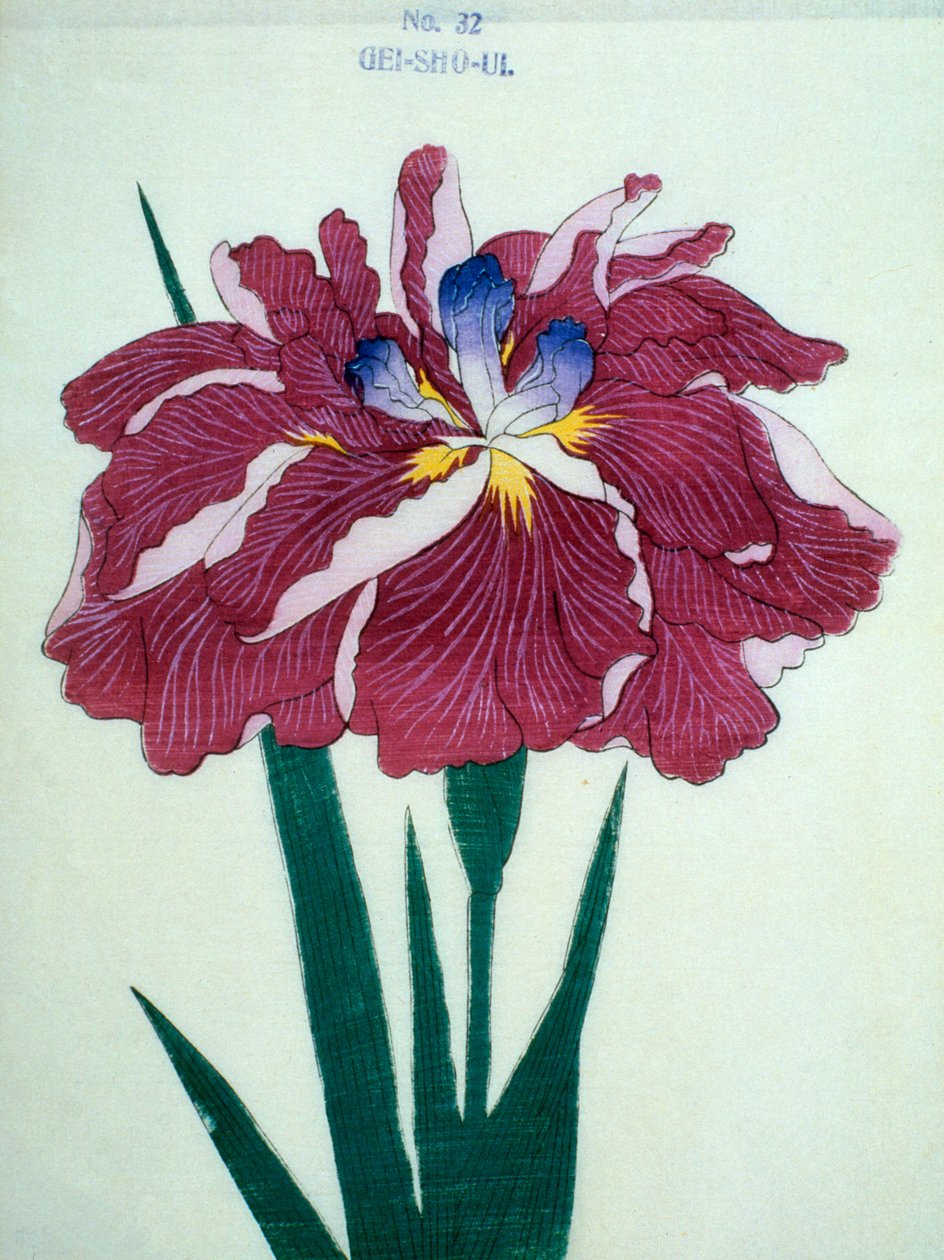 GeiSho-Ui, no.32. de Japanese School