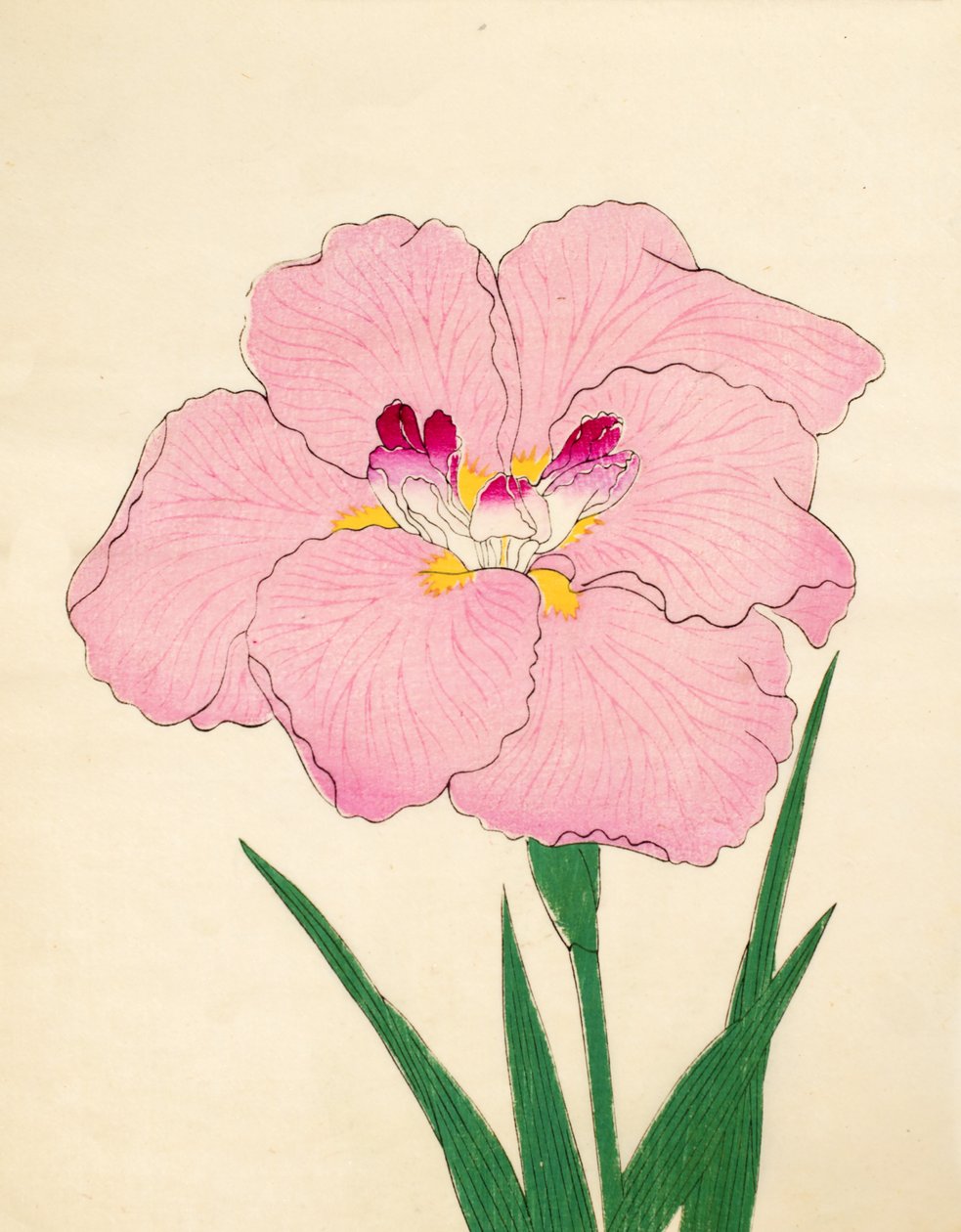 Gofukushoshu, nº 86, 1890 (impressão em xilogravura a cores) de Japanese School