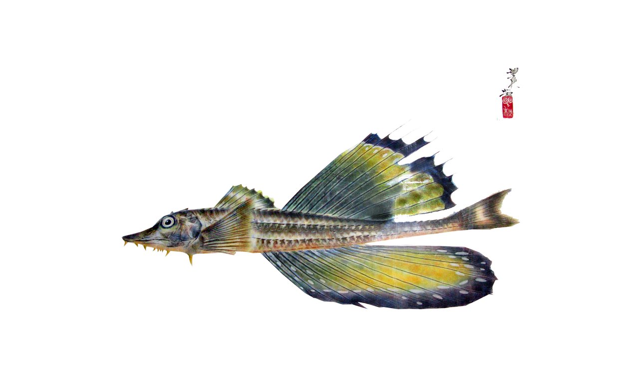 Gyotaku de Japanese School